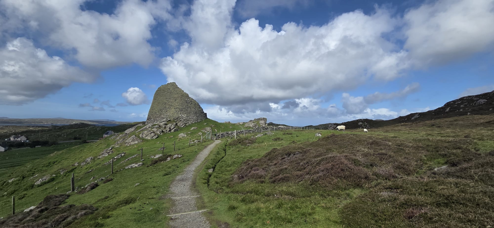 Broch et mouton des Highlands, Écosse