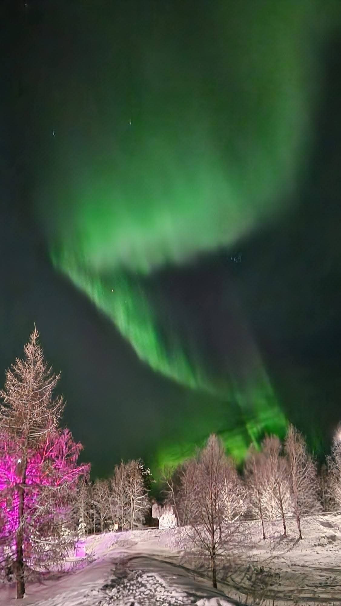Aurores boréales dans la nuit, Finlande