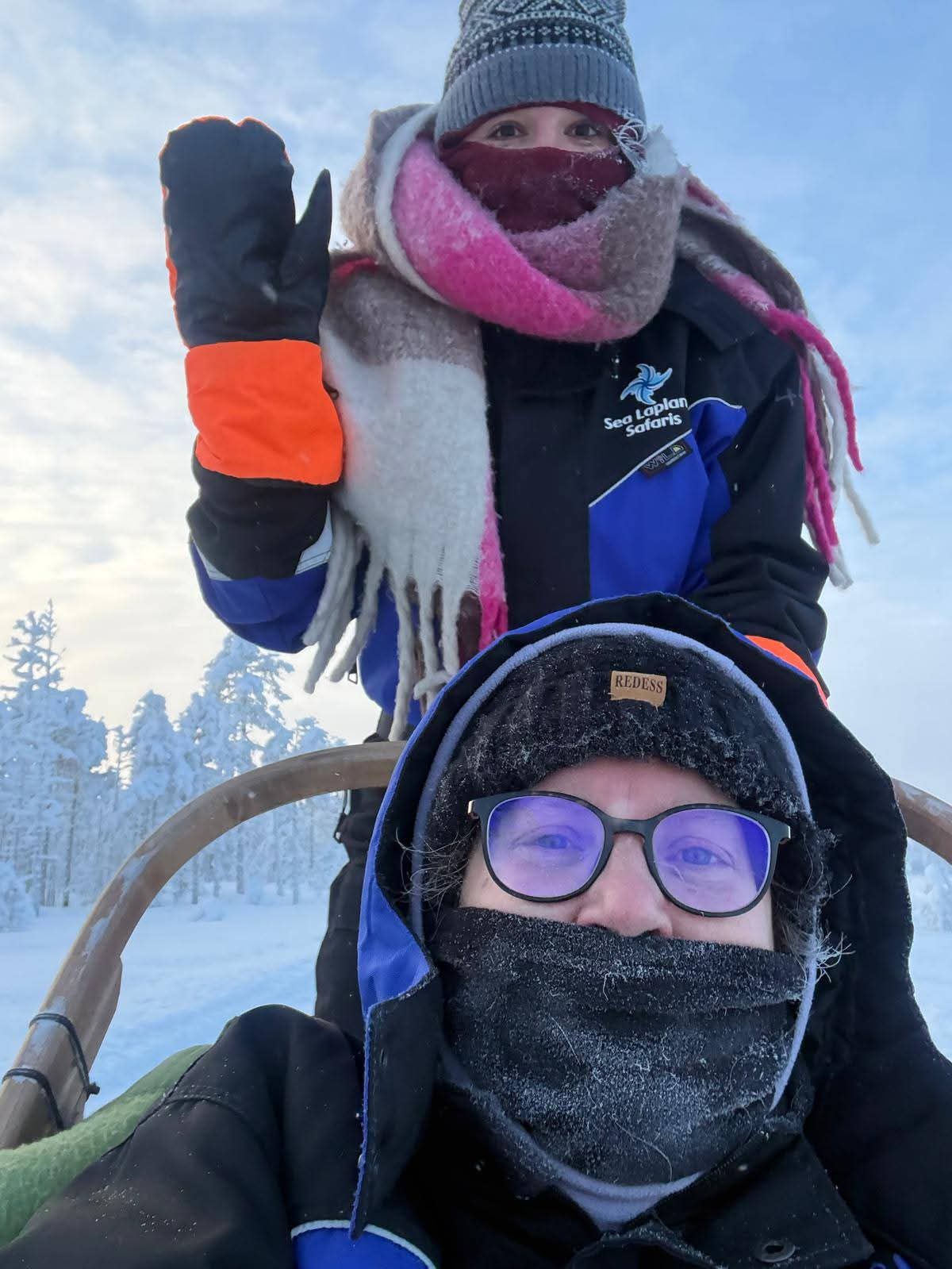 Chiens de traîneau en Laponie