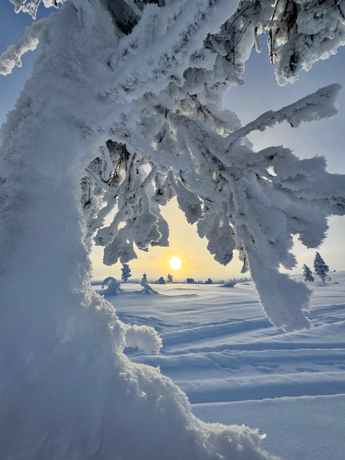 Paysage enneigé au soleil, Finlande